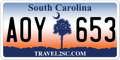 SC license plate AOY653