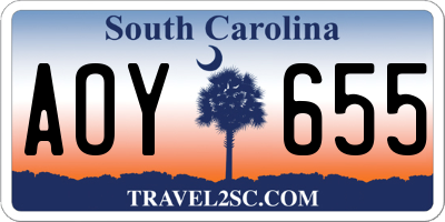 SC license plate AOY655