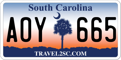 SC license plate AOY665