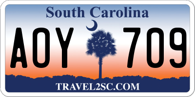 SC license plate AOY709