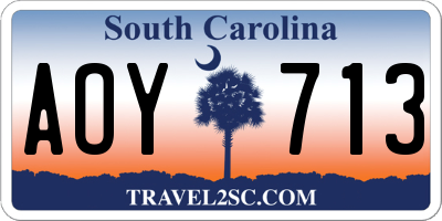 SC license plate AOY713