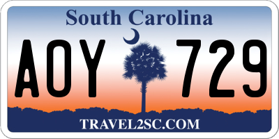 SC license plate AOY729