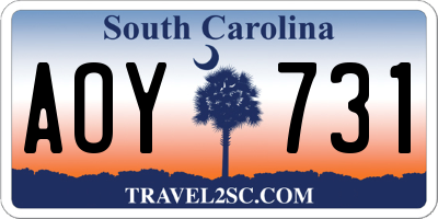 SC license plate AOY731