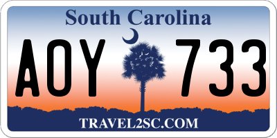 SC license plate AOY733