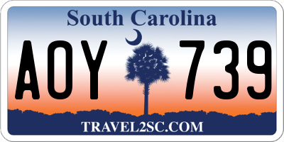 SC license plate AOY739