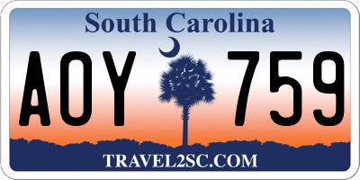 SC license plate AOY759