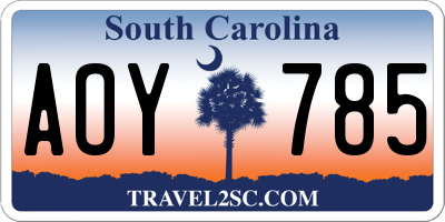 SC license plate AOY785