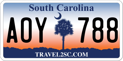 SC license plate AOY788