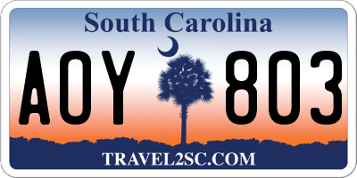 SC license plate AOY803