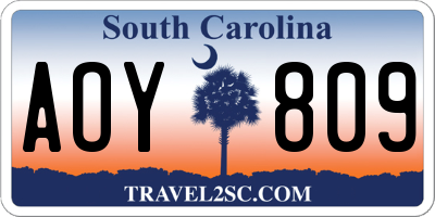 SC license plate AOY809