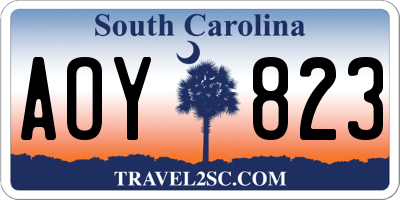 SC license plate AOY823