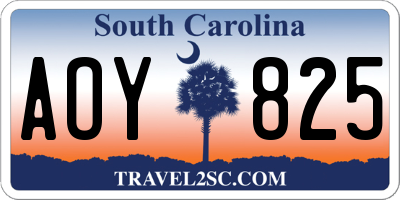 SC license plate AOY825