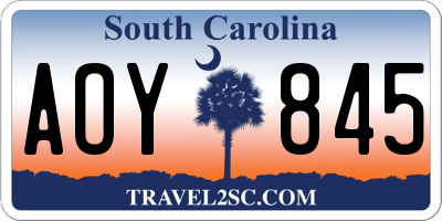 SC license plate AOY845