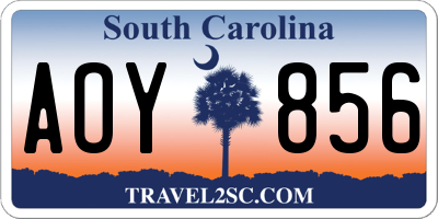 SC license plate AOY856