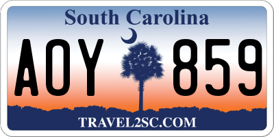 SC license plate AOY859