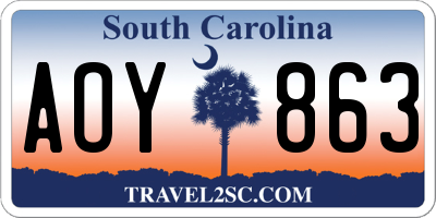 SC license plate AOY863