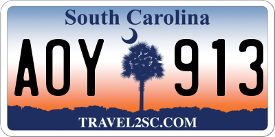 SC license plate AOY913