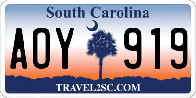 SC license plate AOY919