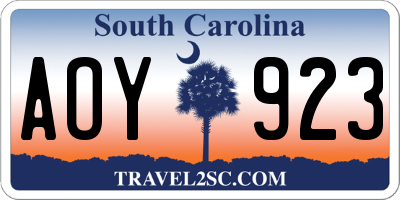 SC license plate AOY923