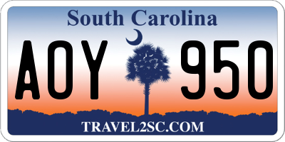SC license plate AOY950