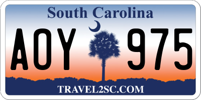 SC license plate AOY975