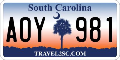 SC license plate AOY981