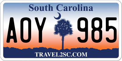 SC license plate AOY985