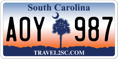 SC license plate AOY987