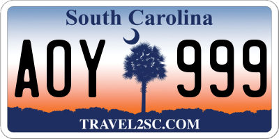 SC license plate AOY999