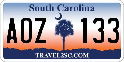 SC license plate AOZ133