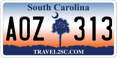 SC license plate AOZ313