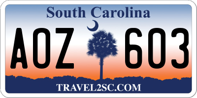 SC license plate AOZ603
