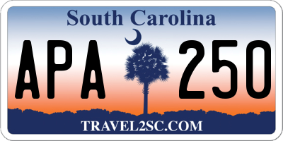 SC license plate APA250