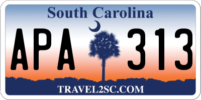 SC license plate APA313