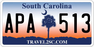 SC license plate APA513