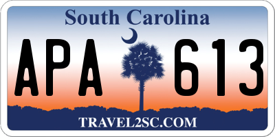SC license plate APA613