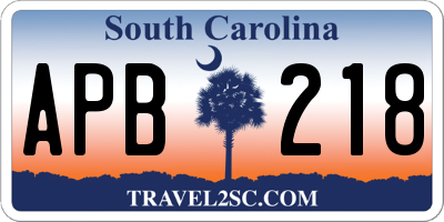 SC license plate APB218