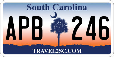 SC license plate APB246