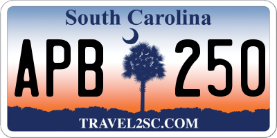 SC license plate APB250