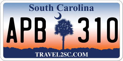 SC license plate APB310