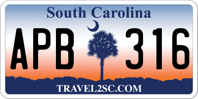 SC license plate APB316