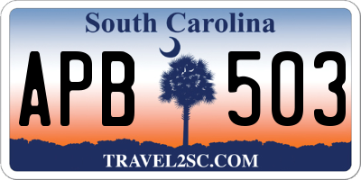 SC license plate APB503