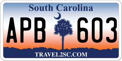 SC license plate APB603