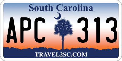 SC license plate APC313