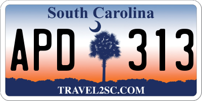SC license plate APD313