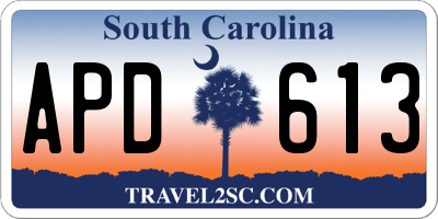 SC license plate APD613