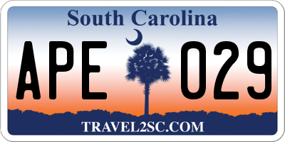 SC license plate APE029