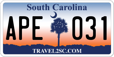 SC license plate APE031