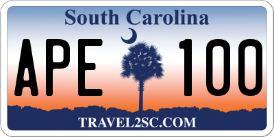 SC license plate APE100