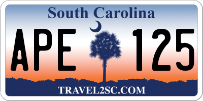 SC license plate APE125